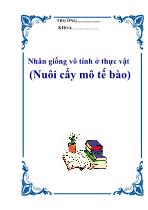 Nhân giống vô tính ở thực vật (Nuôi cấy mô tế bào)