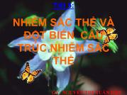 Nhiễm sắc thể và đột biến cấu trúc nhiễm sắc thể