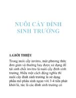 Nuôi cấy đỉnh sinh trưởng