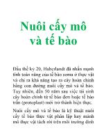 Nuôi cấy mô và tế bào