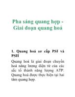 Pha sáng quang hợp -Giai đoạn quang hoá