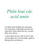 Phân loại các acid amin