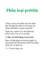 Phân loại prôtêin