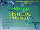 Phân loại sinh học phân tử