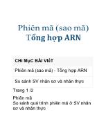 Phiên mã (sao mã) Tổng hợp ARN