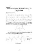 Protein và sự trao đổi Protein trong cơ thể thực vật