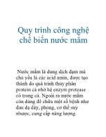 Quy trình công nghệ chế biến nước mắm