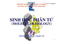 Sinh học phân tử (molecular biology)