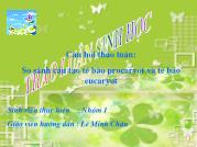 So sánh cấu tạo tế bào procaryot và tế bào eucaryot