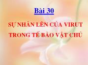 Sự nhân lên của virut trong tế bào vật chủ