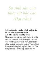 Sự sinh sản của thực vật bậc cao (Hạt trần)