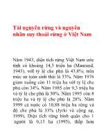 Tài nguyên rừng và nguyên nhân suy thoái rừng ở Việt Nam