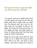 Tài nguyên rừng và nguyên nhân suy thoái rừng trên thế giới