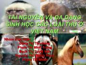 Tài nguyên và đa dạng sinh học các loài thú ở Việt Nam