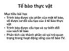 Tế bào thực vật