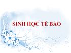 Thành phần hóa học của tế bào