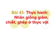 Thực hành: Nhân giống giâm, chiết, ghép ở thực vật