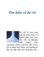 Tìm hiểu về đá vôi