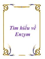 Tìm hiểu về Enzym