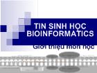 Tin sinh học Bioinformatics