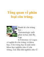 Tổng quan về phân loại côn trùng