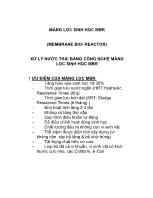 Xử lý nước thải bằng công nghệ màng lọc sinh học MBR