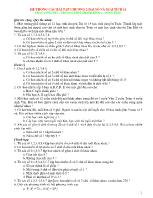 Hệ thống các bài tập chương 2 đại số và giải tích 11