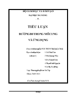 Tiểu luận Đường đi trong mê cung và ứng dụng