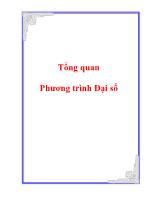 Tổng quan Phương trình Đại số