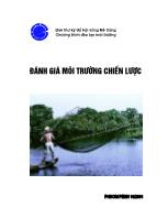 Đánh giá môi trường chiến lược