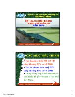 Đề tài Kế hoạch kinh doanh mảng chế biến gỗ năm 2009 của công ty cổ phần tập đoàn kỹ nghệ gỗ Trường Thành