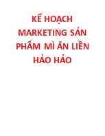 Kế hoạch marketing sản phẩm mì ăn liền Hảo Hảo