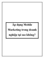 Áp dụng Mobile Marketing trong doanh nghiệp tại sao không?