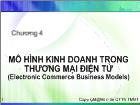 Bài giảng Mô hình kinh doanh trong thương mại điện tử (electronic commerce business models)