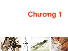 Bài tập đồ họa kỹ thuật