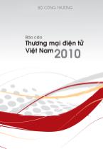 Báo cáo Thương mại điện tử Việt Nam 2010