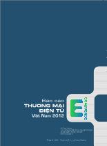 Báo cáo thương mại điện tử Việt Nam 2012