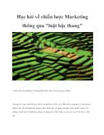 Học hỏi về chiến lược Marketing thông qua 