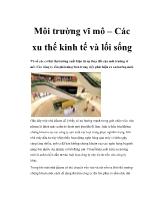 Môi trường vĩ mô – Các xu thế kinh tế và lối sống