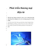 Phát triển thương mại 1 điện tử