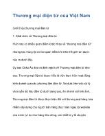 Thương mại điện tử của Việt Nam