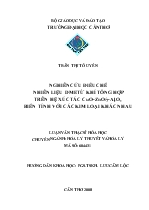 Đề tài Nghiên cứu điều chế nhiên liệu DME từ khí tổng hợp trên hệ xúc tác CuO-ZnO/γ-Al2O3 biến tính với các kim loại khác nhau