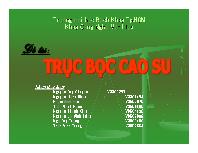 Đề tài Trục bọc cao su