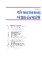 Giáo trình Vi xử lý - Cấu trúc bên trong và lệnh của vi xử lý