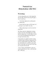 Natural Gas Dehydration with TEG