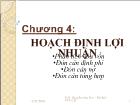 Bài giảng Hoạch định lợi nhuận