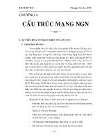 Cấu trúc mạng NGN