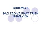 Đào tạo và phát triển nhân viên