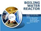 Đề tài Boiling water reactor