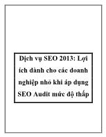 Dịch vụ SEO 2013: Lợi ích dành cho các doanh nghiệp nhỏ khi áp dụng SEO Audit mức độ thấp